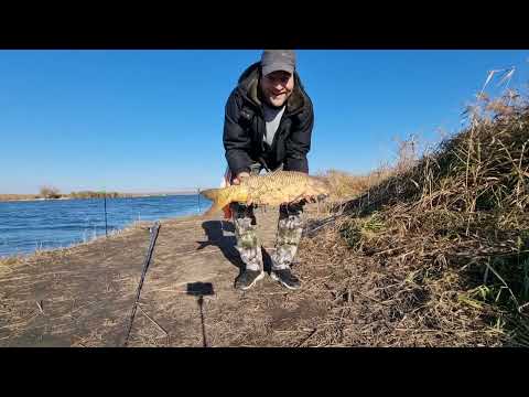Видео: Восьмой! думал было чтоб обновил личный рекорд!