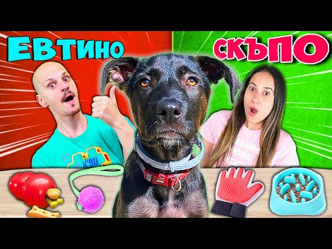 Видео: СКЪПО vs ЕВТИНО vs КУЧЕ Challenge