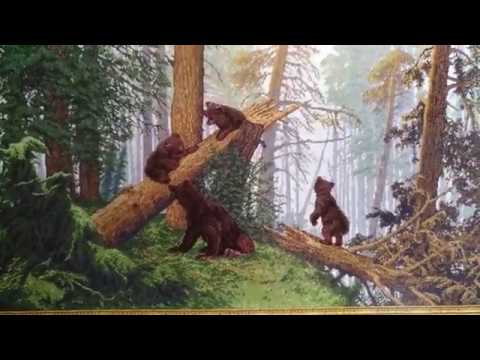 Видео: СП Больше, чем просто большая. "Утро в сосновом лесу" Золотое руно. Знакомство.