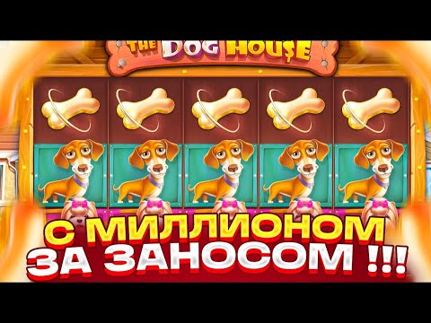 Видео: ВКУСНО!!! Х500 С КУЧЕЙ ВИЛДОВ!! ДОЖАЛ СЛОТ И ОПЯТЬ ВЫИГРАЛ ЛЯМ В DOG HOUSE MEGAWAYS!!!