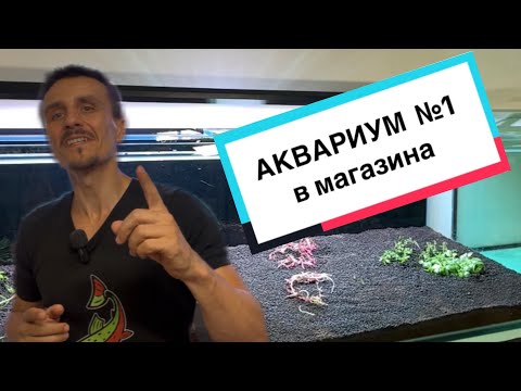 Видео: Правя първия аквариум в моя магазин!