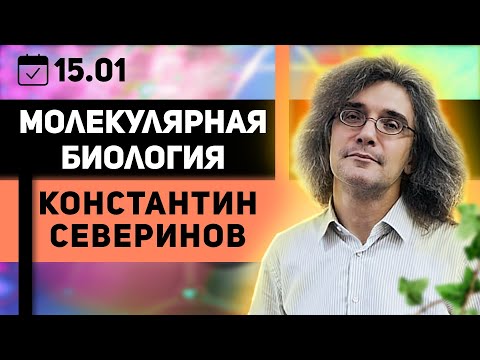 Видео: Константин Северинов. Молекулярная биология. Как клонируют ДНК - кошмар борцов с ГМО