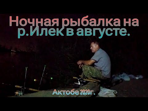 Видео: Ночная рыбалка на рИлек в августе  Карась,лещ,плотва  г Актобе 2020 г