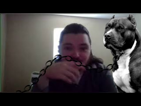 Видео: Маргинал про собак