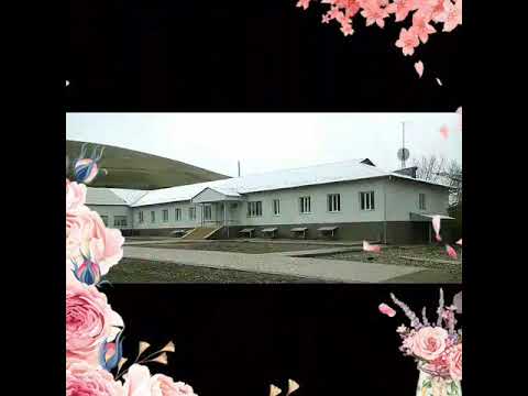 Видео: Ничке сай 94 жылкылар