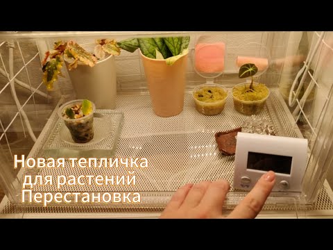 Видео: Наполняю новую тепличку, избавляясь от старой, и делаю перестановку. Влог