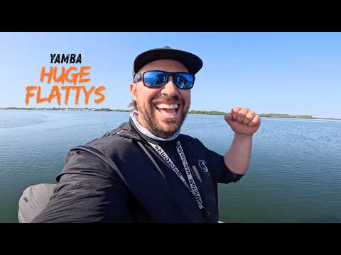 Видео: Река, полная МОНСТРОВ-флэтхедов! Пойманы НОВЫЕ PB! Ямба, Новый Южный Уэльс
