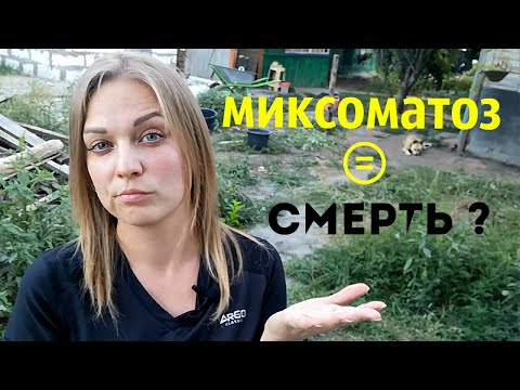Видео: Миксоматоз у кроликов Лечить или не лечить Симптомы Болезнь Вакцинация Наш опыт