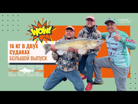Видео: ШОК. 16 кг в двух судаках. Большой выпуск. Трофей Дубны 2022