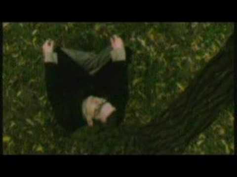 Видео: Пилот - 7 часов утра