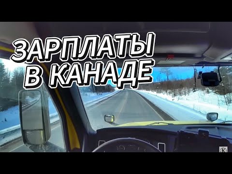 Видео: Сколько реально зарабатывают дальнобойщики в Канаде?