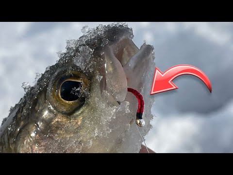 Видео: Имитация Мотыля после Теста! Виниловая Лента с UV Свечением. Изготовление за 2 минуты!