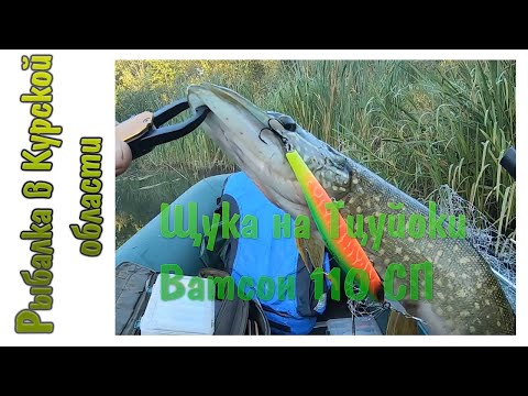 Видео: Щука на TsuYoki Watson 110SP и сплав по реке Свапа
