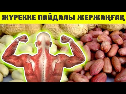 Видео: НЕГЕ КҮН САЙЫН ЖЕРЖАҢҒАҚ ЖЕУІМІЗ КЕРЕК /  Денсаулыққа қандай пайдасы бар /  Керек арнасы