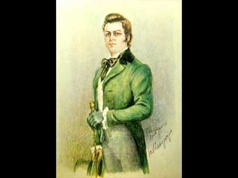 Видео: Юрий Мазурок Ария Онегина