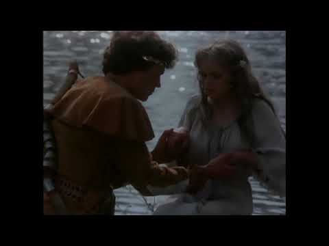 Видео: Александр Янущик - Лебединая любовь