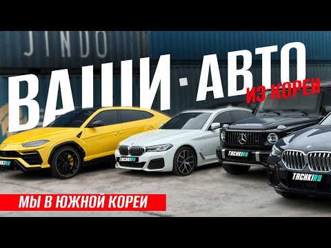 Видео: 🔥 Это покупают ВСЕ из Южной Кореи  | Что покупаем из Кореи? | Kia, Hyundai , Genesis, Lamborghini 