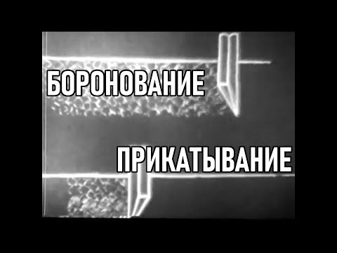 Видео: Боронование и прикатывание