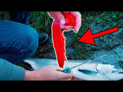 Видео: САМОЕ ПОЛНОЕ руководство по консервированию яиц (советы и рекомендации по приготовлению лосося и ...