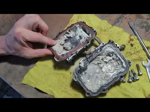 Видео: Чистка бойлера Saeco vienna