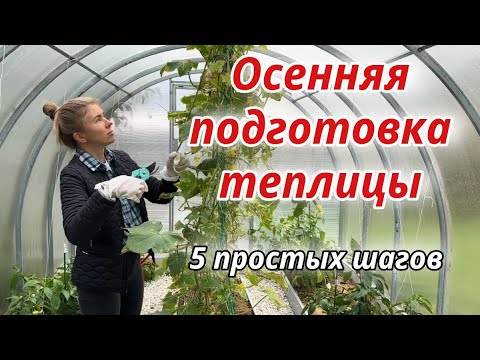 Видео: ОСЕННЯЯ ПОДГОТОВКА ТЕПЛИЧНЫХ ГРЯДОК. ЧЕМ ОБРАБОТАТЬ ТЕПЛИЦУ