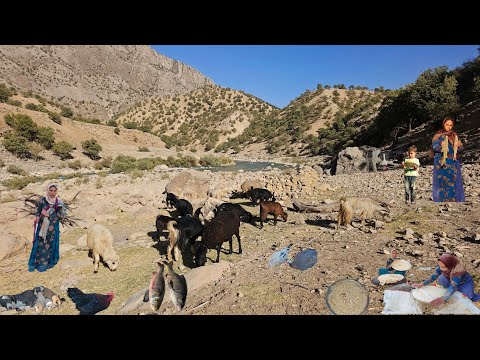 Видео: Кочевая жизнь в Загросе | Девушки-кочевницы ловят 3-килограммовую рыбу и пекут местный хлеб у реки