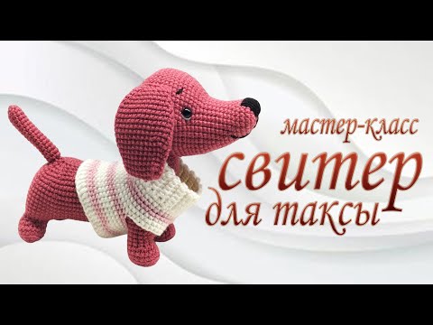 Видео: sweater /свитер для таксы /  мастер класс #olicrochet