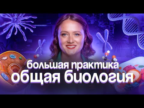 Видео: Общая биология. Большая практика | ЕГЭ-2025 по биологии