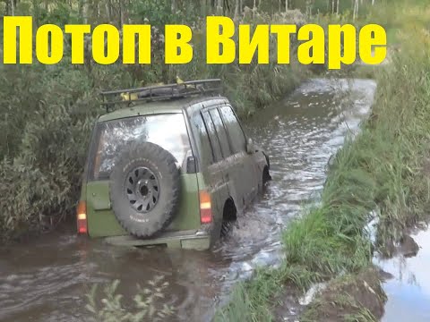 Видео: Осень 2025. Потоп в Витаре.