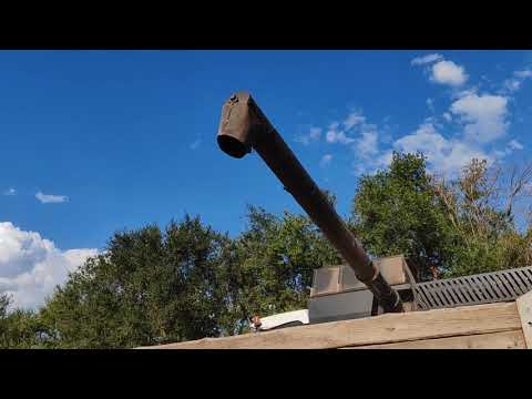 Видео: Уборка люцерны сорт Голубка на семена