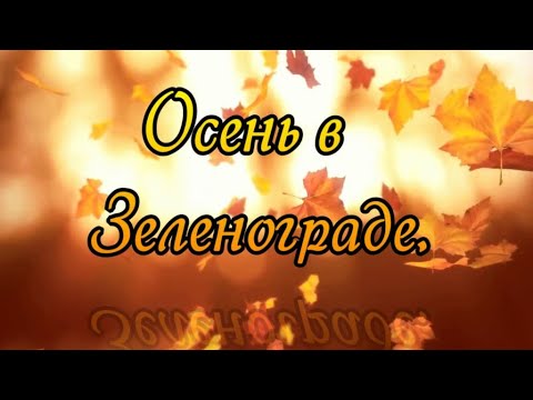 Видео: В Зеленограде осень.