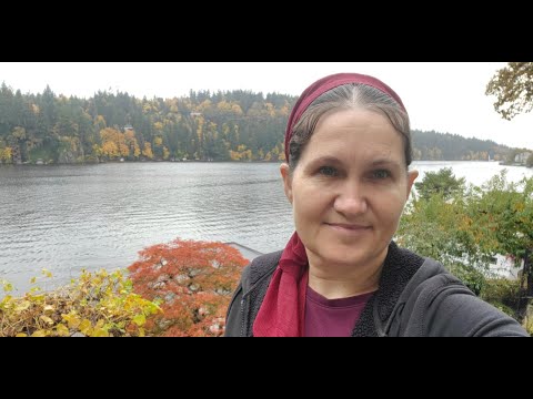 Видео: Осень. Как выглядит наш сад осенью.