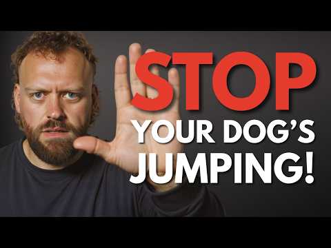 Видео: Как отучить собаку прыгать