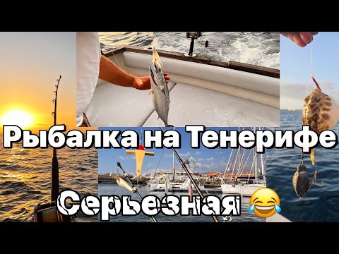 Видео: Тенерифе  Рыбалка в океане у берегов Тенерифе . #таещекулинарка