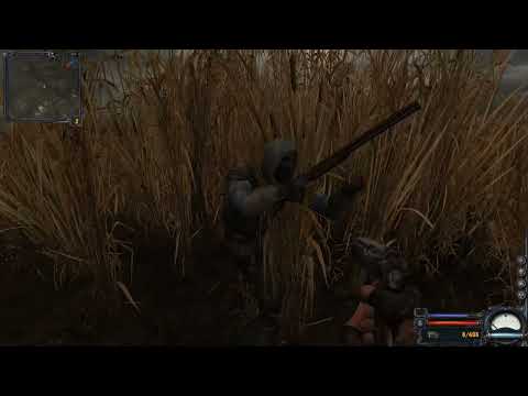Видео: S.T.A.L.K.E.R.: Чистое небо / Clear Sky. Болота. Часть 2.