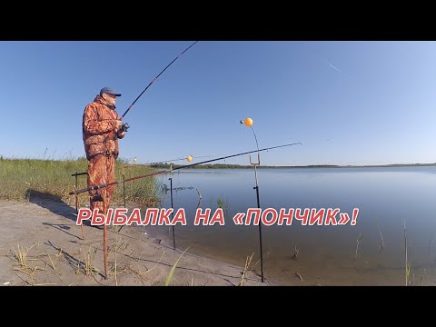 Видео: Клев карася на самодельный пенопласт. Рыбалка на донки с сигнализатором "Пончик"
