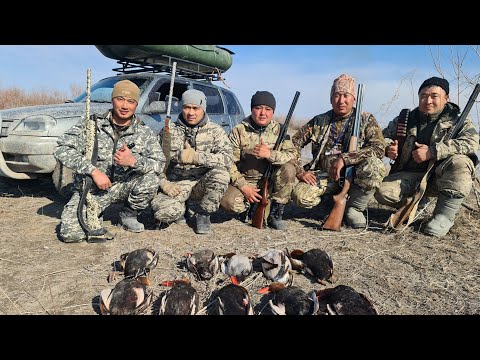 Видео: КӨКТЕМГІ ҮЙРЕККЕ АҢШЫЛЫҚ. ҮЙРЕКТЕН ҚУЫРДАҚ, ПАЛАУ. Маусымды жабу.