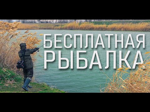 Видео: ПЛАТНАЯ РЫБАЛКА  станет БЕСПЛАТНОЙ?!