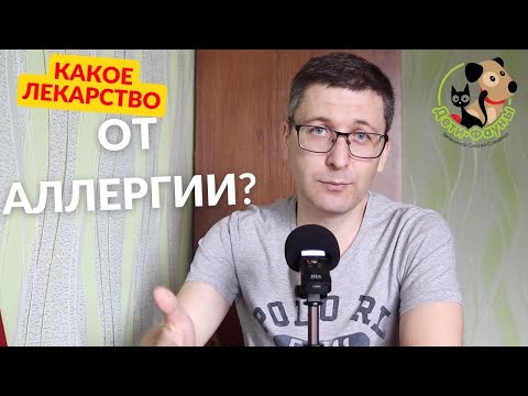 Видео: Что дать кошке от аллергии? Кошка чешется