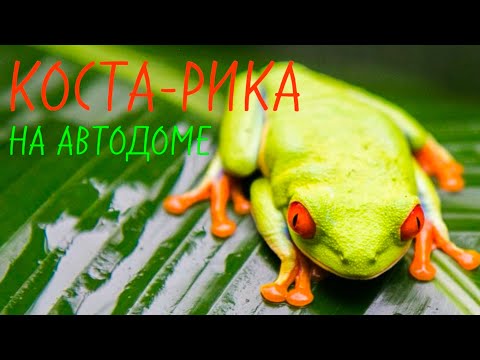 Видео: КОСТА-РИКА |  Решили остаться?🌐 Выпуск 35.