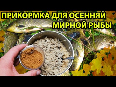 Видео: Эта прикормка по холодной воде принесла мне первое место на соревнованиях на поплавок