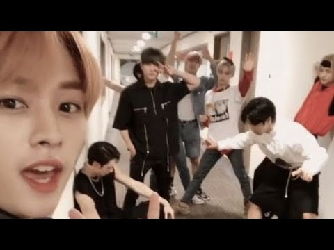 Видео: Банчан и семеро детей ✨🐺