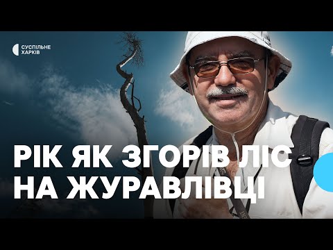 Видео: Як відновлюється журавлівський ліс у Харкові через рік після пожежі