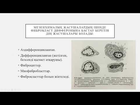 Видео: Дәнекер тіні І Борпылдақ дәнекер тіні