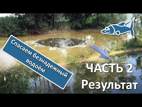 Видео: Как очистить пруд. Результат за 3 недели. ЧАСТЬ 2