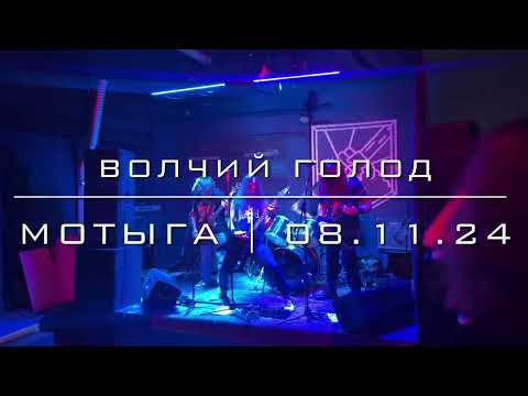 Видео: ВОЛЧИЙ ГОЛОД - Мотыга(08.11.24)