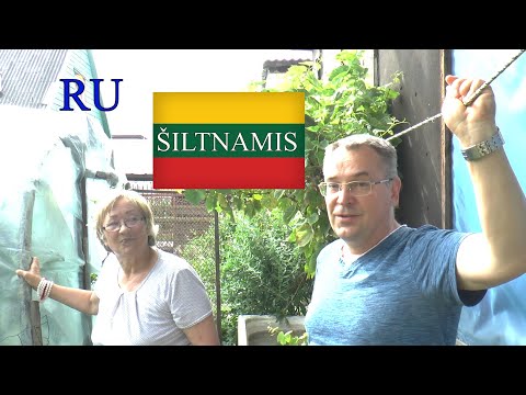 Видео: ЛИТОВСКИЙ ЯЗЫК - 37 УРОК - ТЕПЛИЦА - ŠILTNAMIS