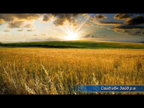 Видео: "Саид ибн Зайд р.а" Акрамжон домла