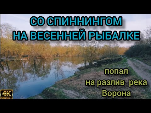 Видео: Со спиннингом на весенней рыбалке. Попал на разлив река Ворона.