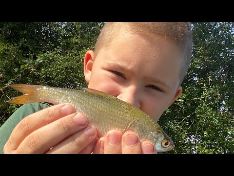 Видео: Рыбачьем на речке. К сожалению никого мы не поймали 🙁￼￼